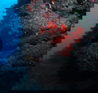 Stepping Stones Dive Site - Kingaroy Accommodation