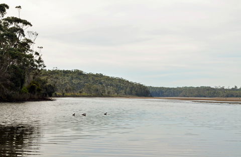 Tabourie Lake - Kingaroy Accommodation 0