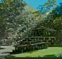 Terania Creek Picnic Area - Kingaroy Accommodation