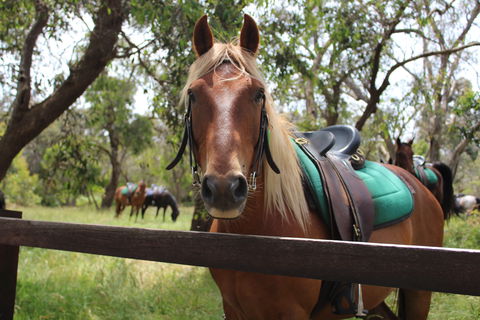 The Ranch - Kingaroy Accommodation 2