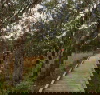 The Briars Park Walking Trails - Kingaroy Accommodation