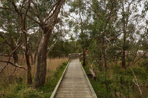 The Briars Park Walking Trails - Kingaroy Accommodation 0