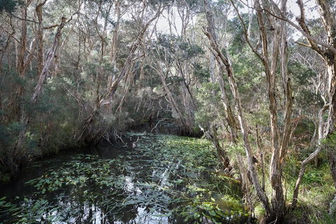 The Briars Park Walking Trails - Kingaroy Accommodation 2
