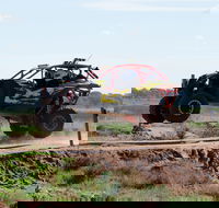 Turbo Buggy Ride - Kingaroy Accommodation