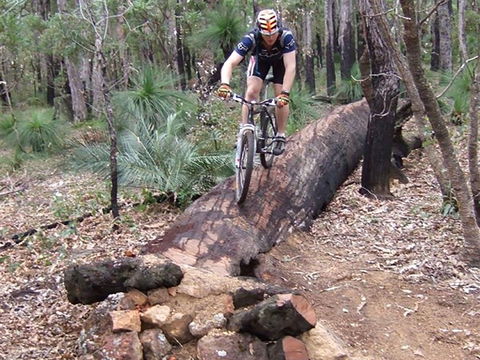 Turner Hill Mountain Bike Trail, Murray - Kingaroy Accommodation 0