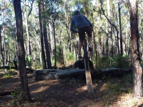 Turner Hill Mountain Bike Trail, Murray - Kingaroy Accommodation 1