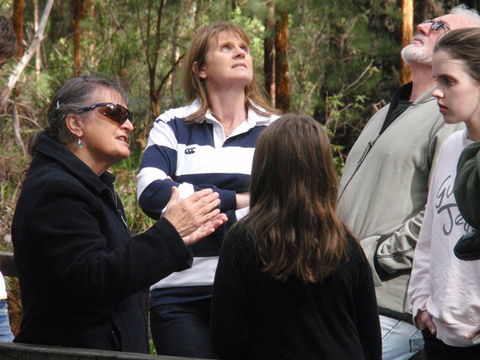 Ancient Empire Walk, Valley Of The Giants - Kingaroy Accommodation 1