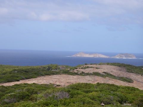 Archipelago Of The Recherche - Kingaroy Accommodation 0