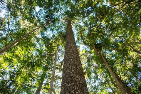 Big Sky National Parks - Kingaroy Accommodation 0