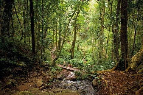 Big Sky National Parks - Kingaroy Accommodation 1