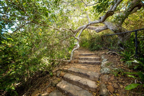 Capricorn Coast National Park - Kingaroy Accommodation 2
