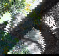 Daisy Hill - Kingaroy Accommodation