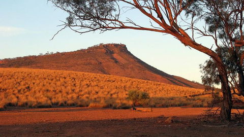 Dutchman Stern Conservation Park Trail - Kingaroy Accommodation 0