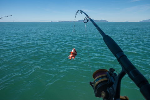 Fishing At Magnetic Island - Kingaroy Accommodation 1