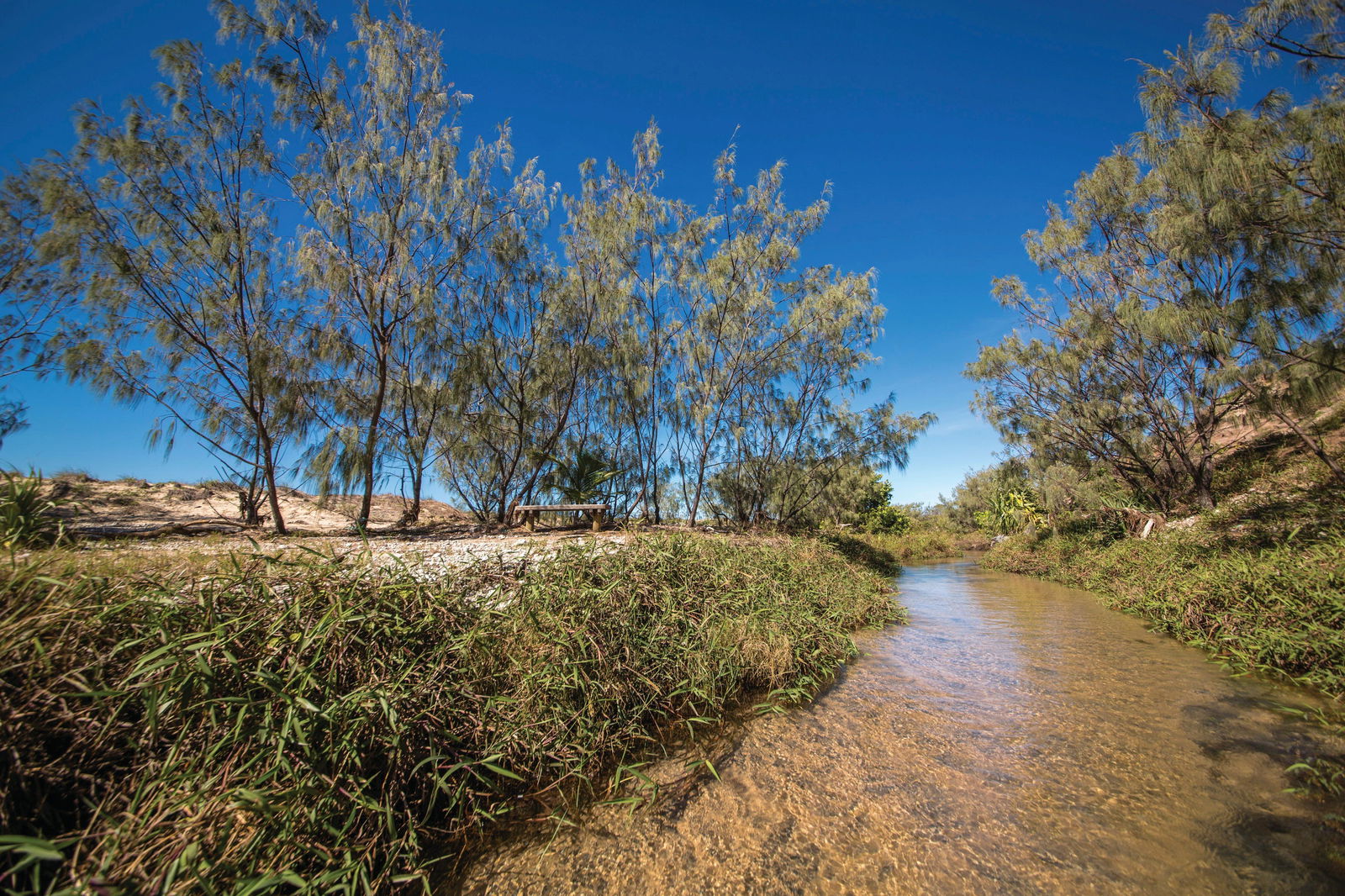 Farnborough QLD Kingaroy Accommodation