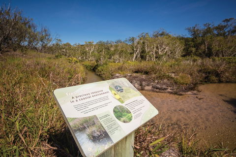 Freshwater Creek Track, Byfield National Park - Kingaroy Accommodation 1