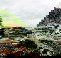 Glenrock State Conservation Area - Kingaroy Accommodation