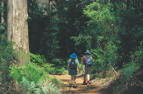 Gloucester National Park - Kingaroy Accommodation 0