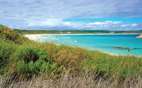Great Ocean Drive - Kingaroy Accommodation 2