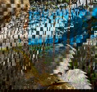 Gulaga Mountain Walk - Kingaroy Accommodation