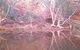 Hamersley Gorge - thumb 1