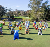 Hello Koalas Sculpture Trail - Kingaroy Accommodation