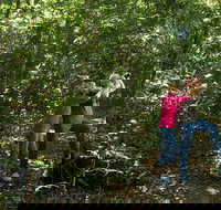 Iluka Rainforest Walking Track - Kingaroy Accommodation