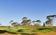 Kalgoorlie Golf Course - thumb 1