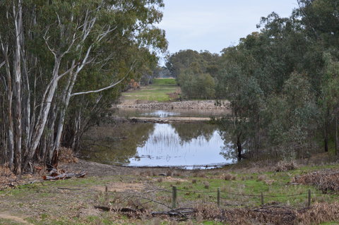 Lawson Syphon - Kingaroy Accommodation 1