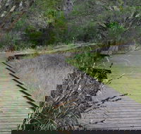 Leschenault Peninsula Conservation Park - Kingaroy Accommodation