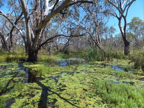Macquarie Valley Trails - Kingaroy Accommodation 0