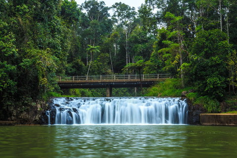 Malanda Falls - Kingaroy Accommodation 0