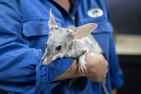 Natural Sciences Loop - Kingaroy Accommodation 2