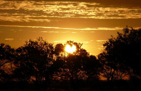 Paroo-Darling National Park - Kingaroy Accommodation 0