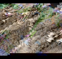 Queanbeyan Park Market - Kingaroy Accommodation