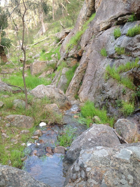 Salisbury Falls Walk - Kingaroy Accommodation 2