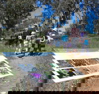 South Gundagai Woodlands Walk - Kingaroy Accommodation