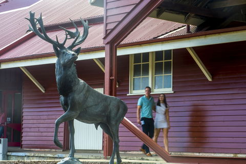 Toogoolawah - Kingaroy Accommodation 1