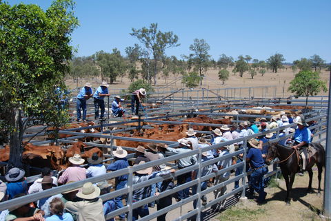 Toogoolawah - Kingaroy Accommodation 2