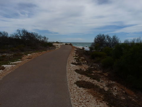 Turquoise Way Trail, Jurien Bay - Kingaroy Accommodation 0
