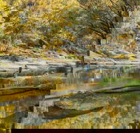 Warrabah National Park - Kingaroy Accommodation