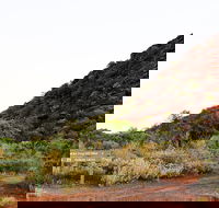 Whyalla Conservation Park - Kingaroy Accommodation