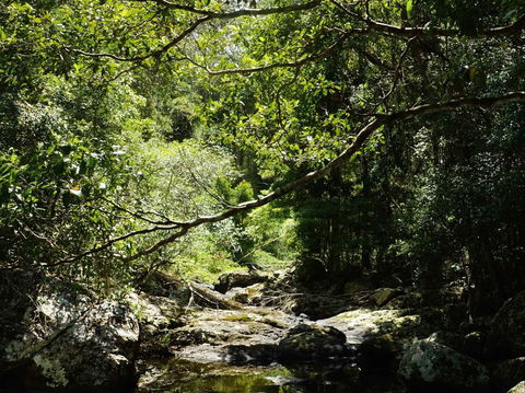 Witta - Kingaroy Accommodation 0