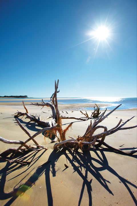 Woodgate Beach Park And Playground - Kingaroy Accommodation 1