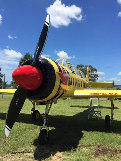 Aerohunter - Kingaroy Accommodation 0