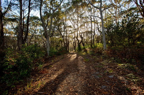 Booderee National Park: Munyunga Waraga Dhugan Walking Trail - Kingaroy Accommodation 0