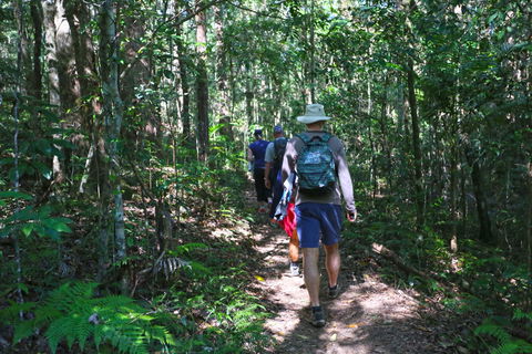 Booloumba Falls Walk, Conondale National Park - Kingaroy Accommodation 1
