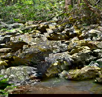 Booyong Walking Track - Kingaroy Accommodation