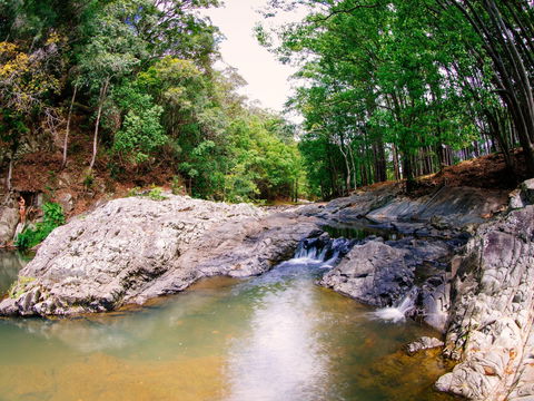 Currumbin Rock Pools - Kingaroy Accommodation 0
