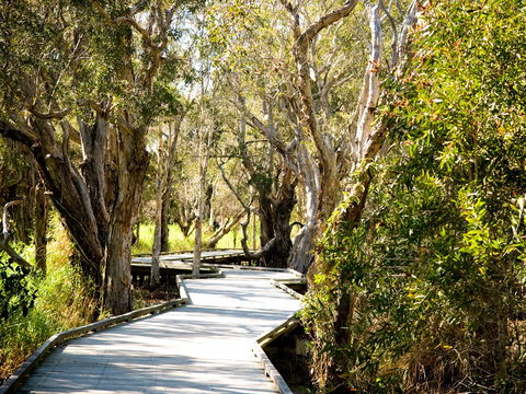 Eagleby Wetlands - Kingaroy Accommodation 1